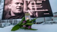 Alexei Navalnyn muistoksi ostettu ilmoitus valomainoksessa. Etualalla tulppaanikimppu ja hautakynttilä.