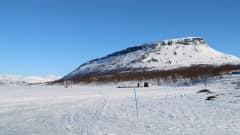 Hiihtoladut risteilevät Kilpisjärven jäällä ja taustalla näkyy Saanatunturi.