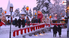 Luminen joulukuusi ja matkailijoita Joulupukin pajakylässä Napapiirillä.
