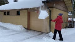 Nainen pudottaa lunta omakotitalon katolta. 