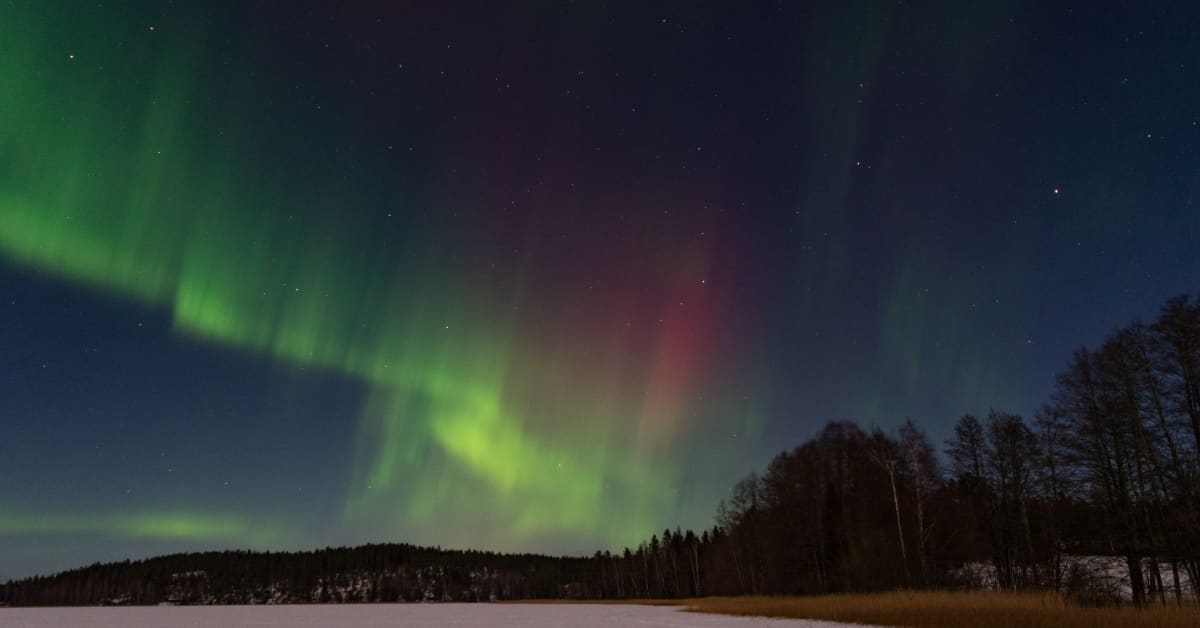 Revontulet leimuavat viikonloppuna koko Suomen yllä – meteorologi kertoo,  milloin on suurin todennäköisyys nähdä ne