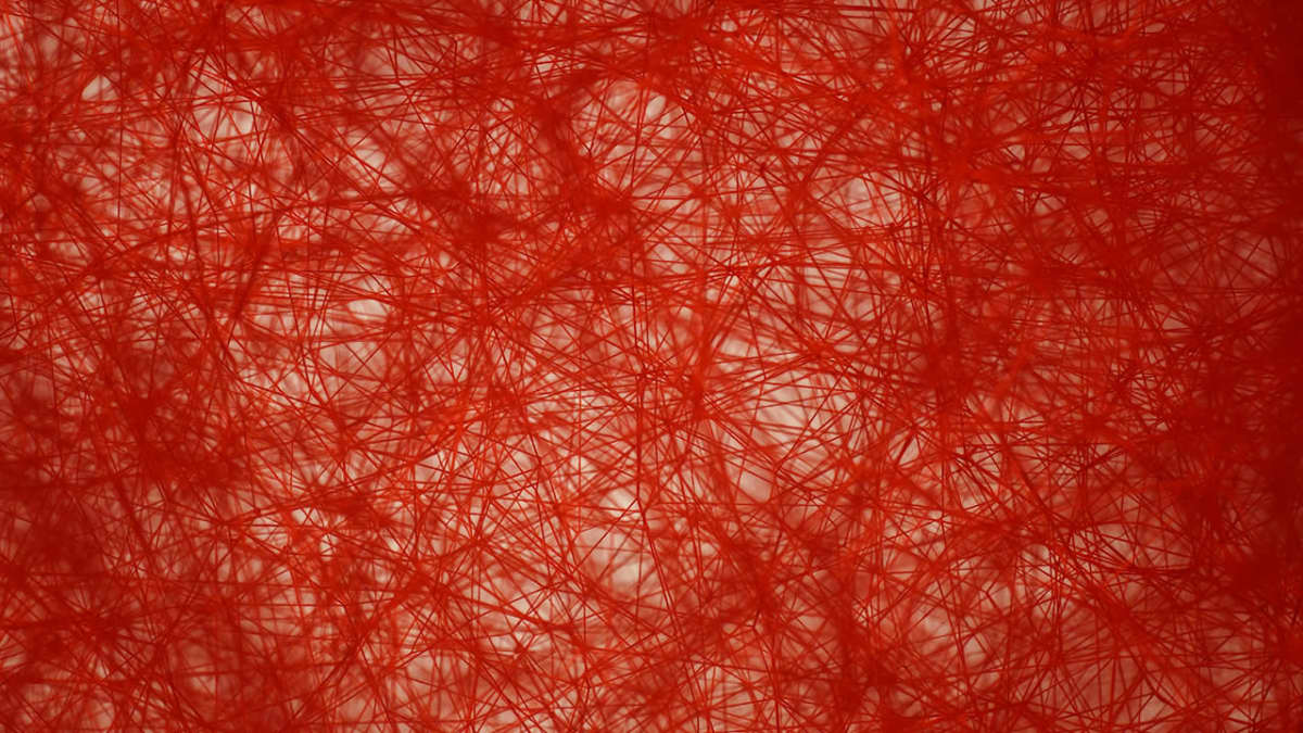 Chiharu Shiotan installaatio EMMAssa