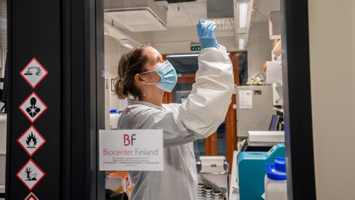 Tutkija Sari Hannula FIMMIn laboratoriossa.
