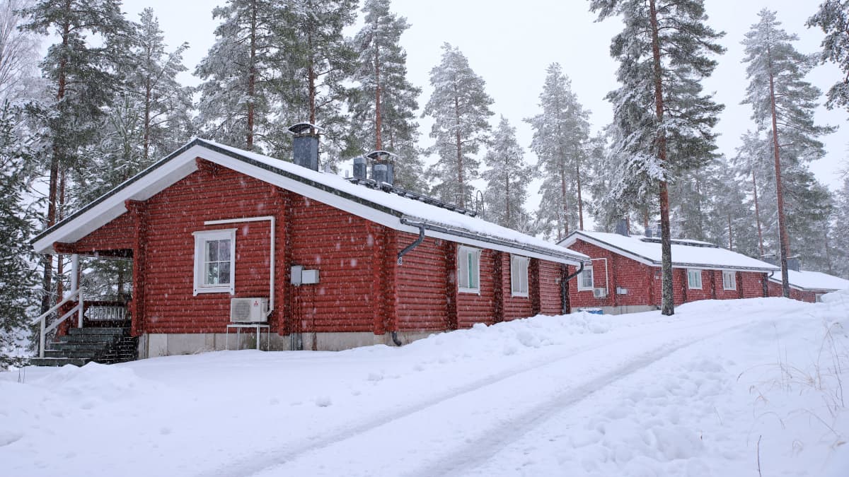 Luontoelämyksiä haikailevat suomalaiset haluavat nyt mökille –  vuokramökkien suosio on harpannut korona-aikana uudelle tasolle