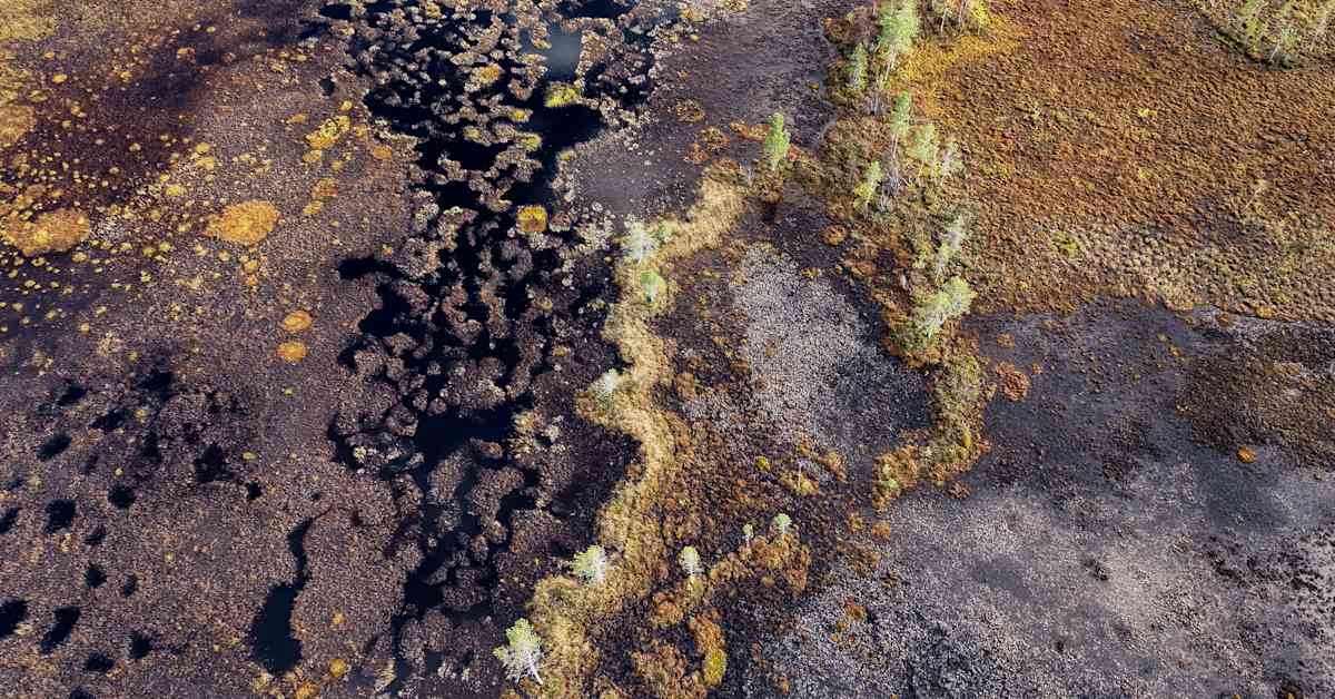 Hallinto-oikeus kumosi neljä suojellulle Viiankiaavalle myönnettyä malminetsintälupaa Sodankylässä