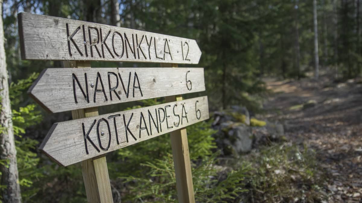 Koronakevät muutti suomalaisten luontosuhdetta myönteisemmäksi, mutta harva  on huolestunut luonnon yksipuolistumisesta