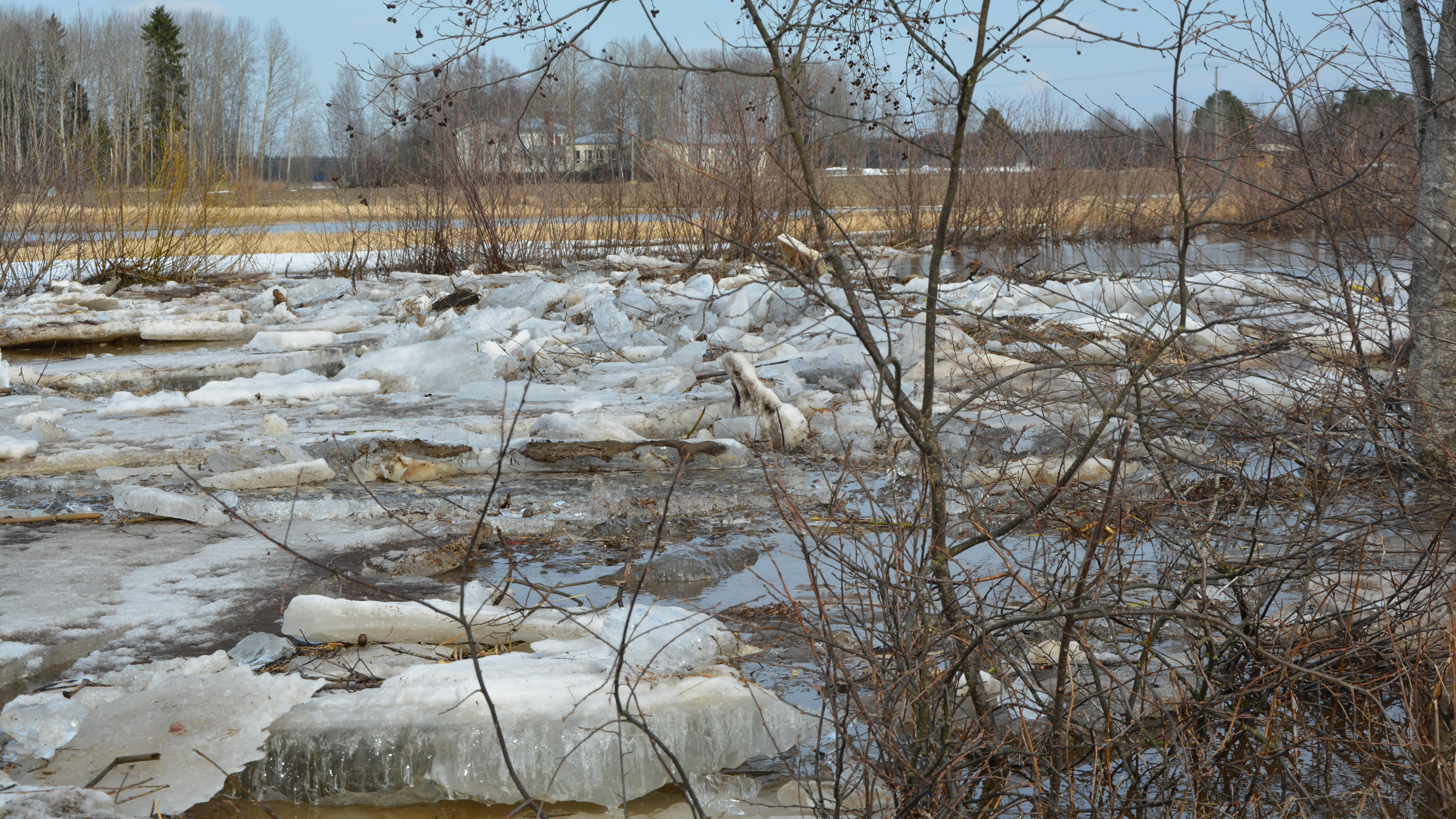 Isflack i översvämningsdrabbat vattendrag.