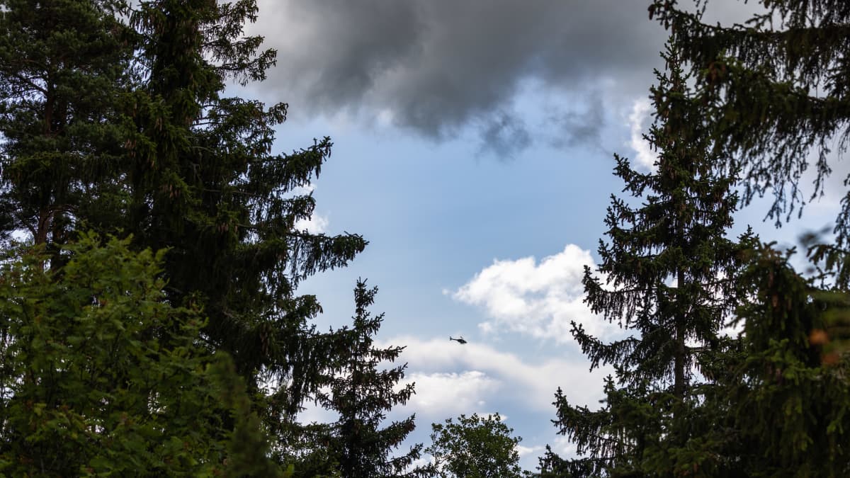 Metsässä puiden välistä näkyy taivaalla tummia pilviä ja rajavartiolaitoksen helikopteri.