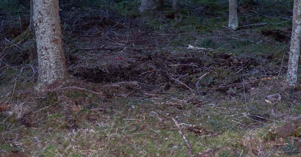 Tältä näyttää paikalla, jossa drooni räjäytettiin