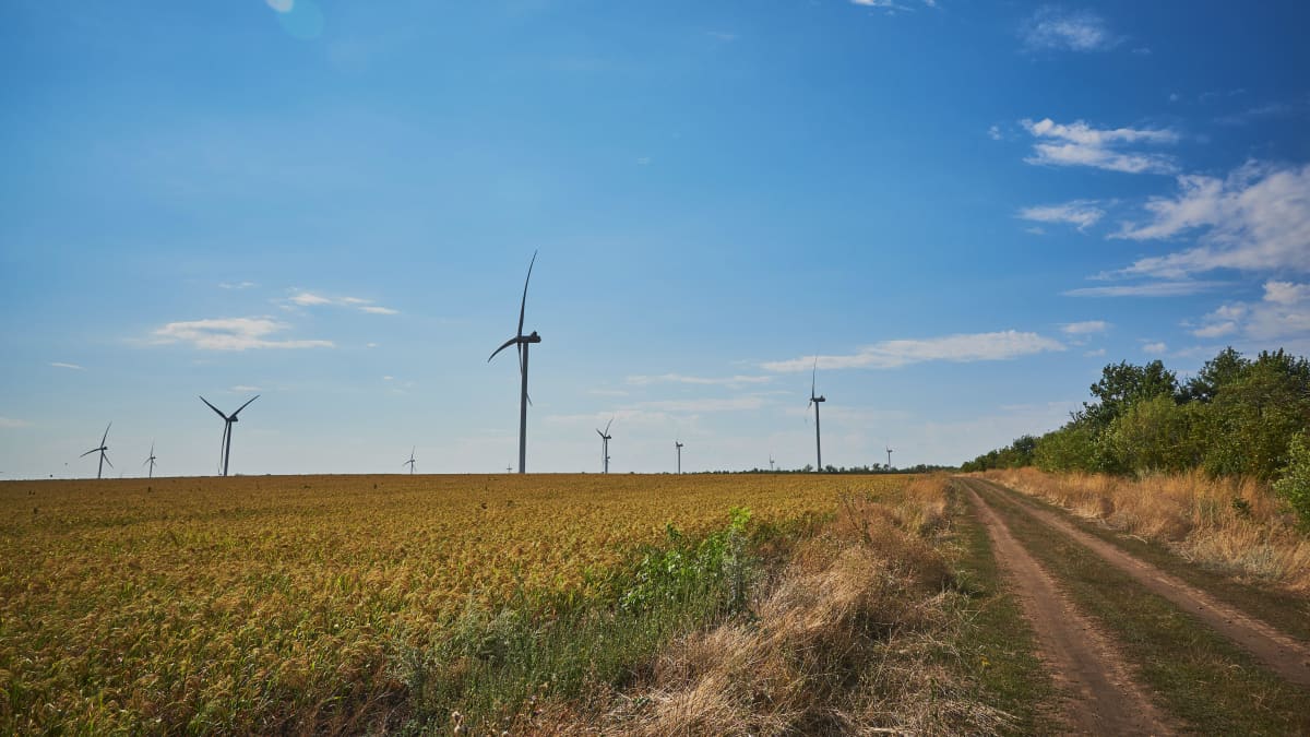 Windmills at a wind power farm on a hay field against a blue sky.