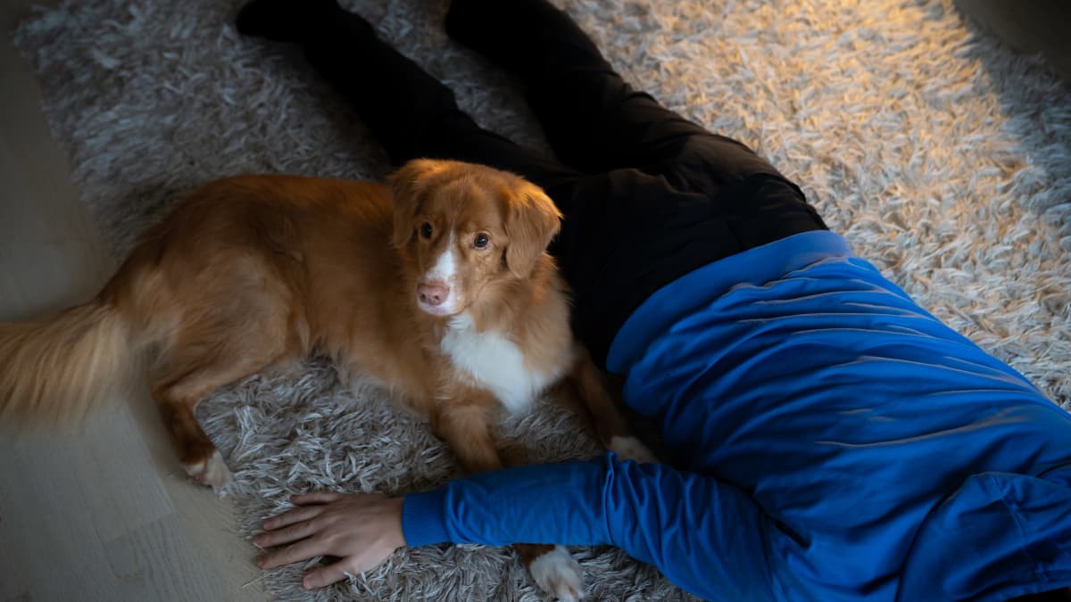 Mikko Vikman makoilee lattialla koiransa kanssa.