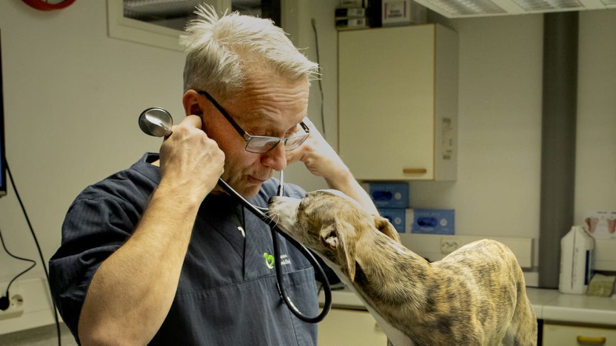 Eläinlääkäri halusi, että lemmikkien terveystiedot löytyisivät yhdestä  paikasta – hän keksi järjestelmän, joka on nyt kaikkien saatavilla
