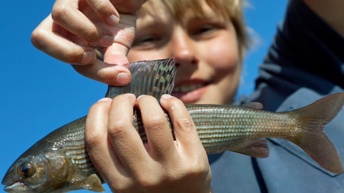 Hymyilevä poika pitää käsissään pyydystämäänsä kalaa. 