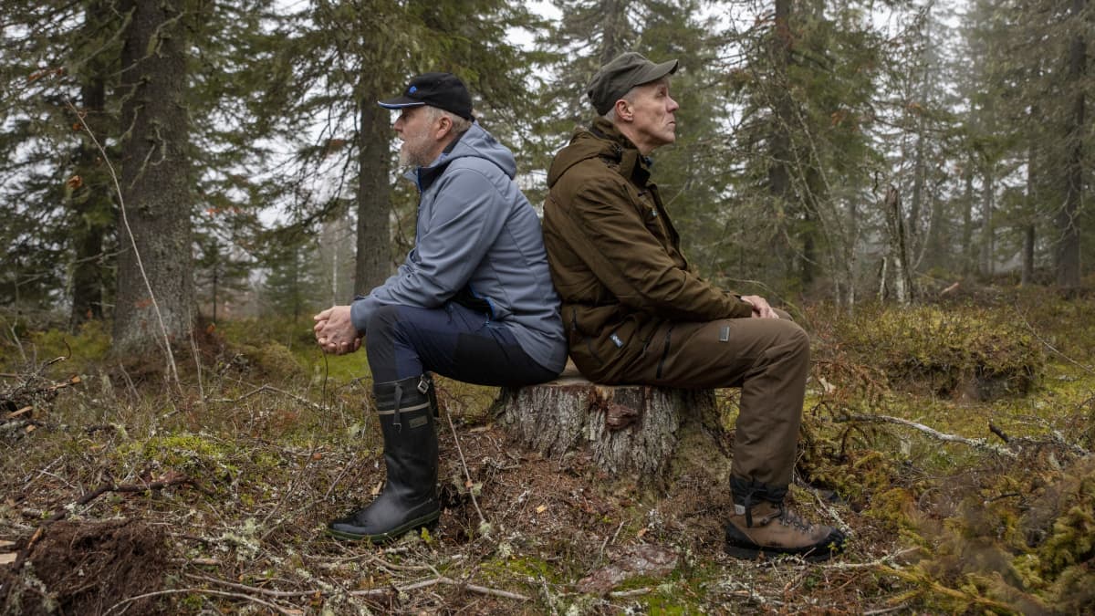 Arto Tolonen ja  Ahti Juntunen istuvat seläkkäin kannolla.