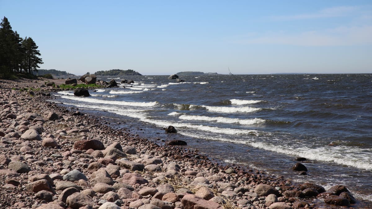 Lehmäsaaren ranta Kotkassa.