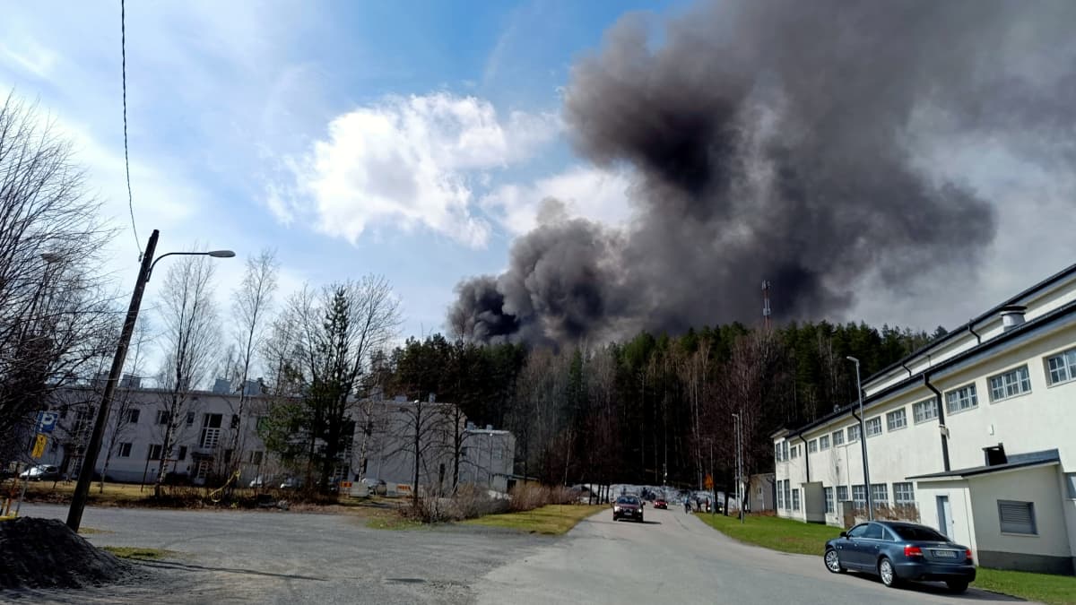 Röken från en stor brand i en pappersmaskinfabrik stiger upp bakom skogsdunge i Jyväskylä.