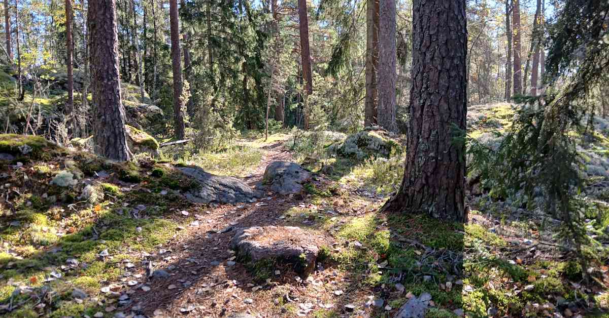 Doctor urges "nature prescriptions" for patients