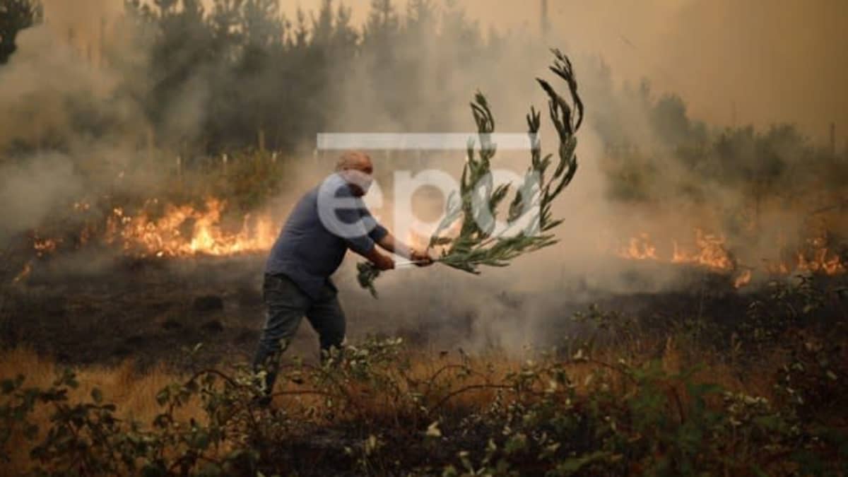 Mies yrittää sammuttaa metsäpaloa oksalla. Ympärillä näkyy palavaa metsää ja maastoa.