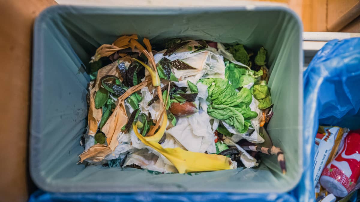 Biojätettä omakotitalon roskiksessa.