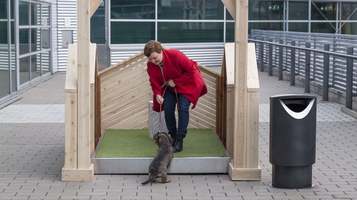 Toimittaja Tuulia Thynell pissattaa Mimmi-koiraansa Helsinki-Vantaan lentoaseman koiravessassa.