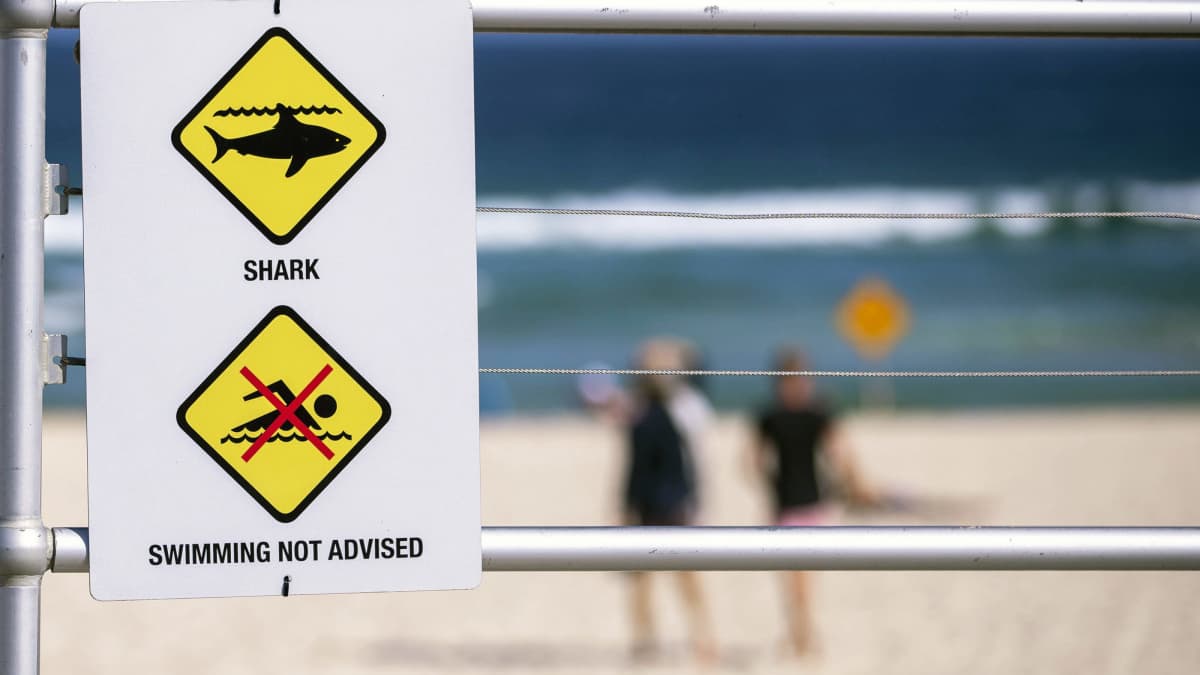 Haista varoittava kyltti Bondi Beachilla Sydneyssä Australiassa.