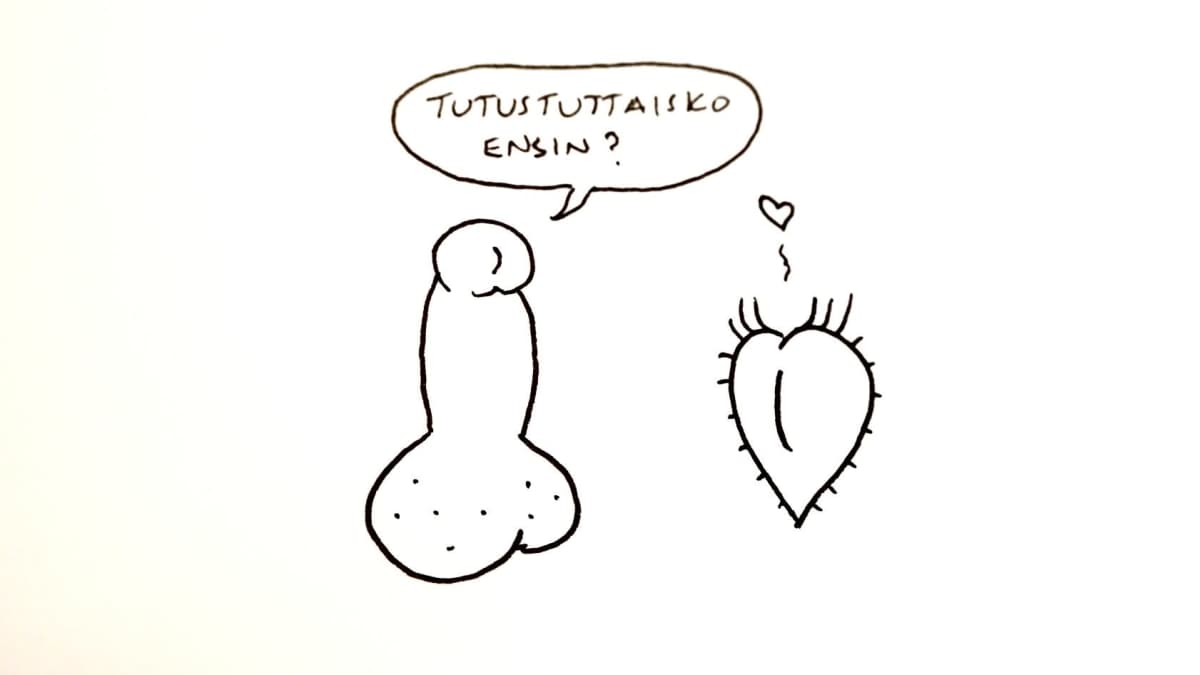 Miehen ja naisen sukupuolielimet tyylitellysti piirrettynä. Penis sanoo puhekuplassa  "tutustuttaisko ensin?".