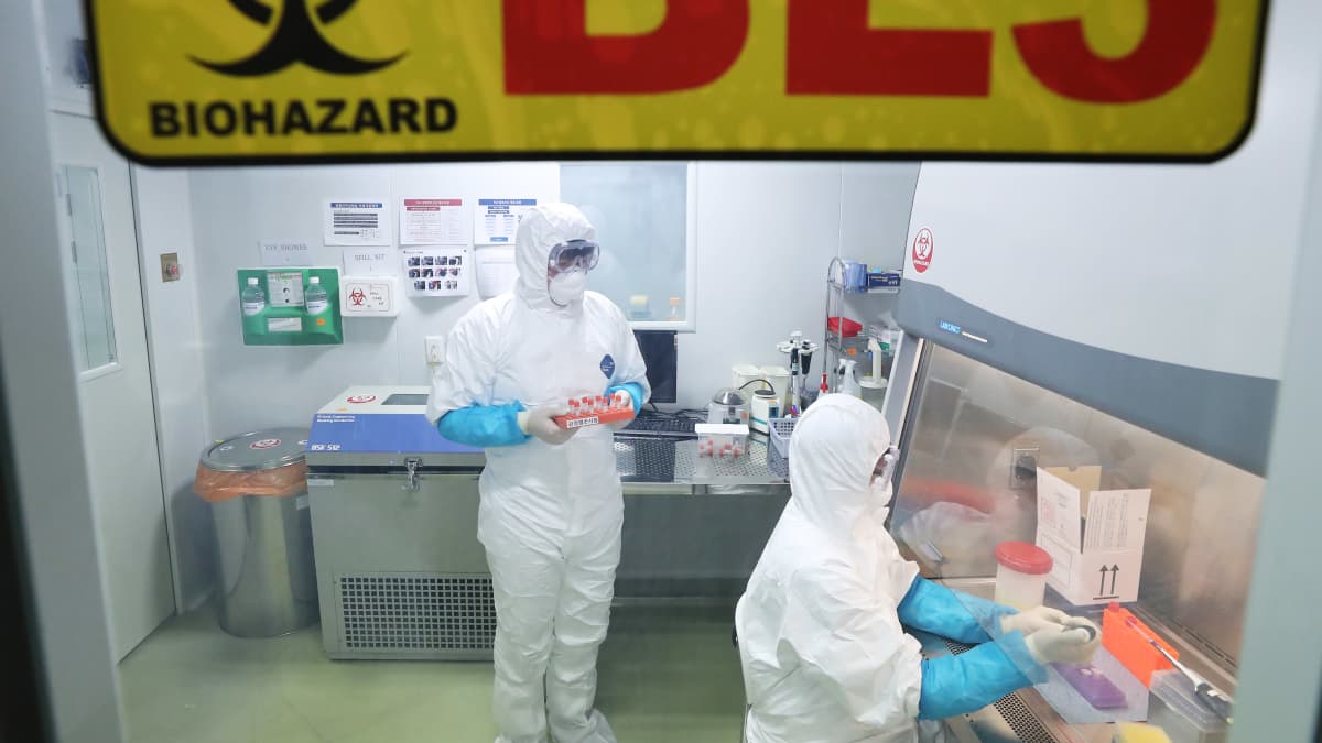 Coronaviruset har spridits till Japan och Thailand och ett misstänkt fall undersöks i Sydkorea 