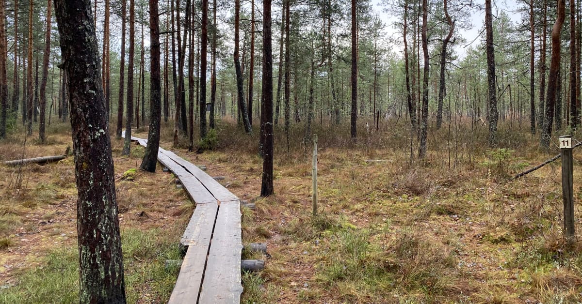 Ovatko Etelä-Suomen maisemat Unesco-leiman arvoisia? Salpausselkä Geopark  hakee paikkaa kansainvälisestä verkostosta