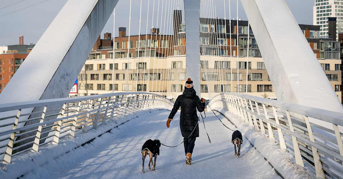 yle.fi