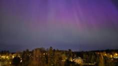 Green and purple northern lights over Espoo treetops. 
