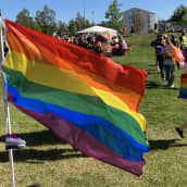 Pride-festivaali Oulun Hollihaan puistossa.