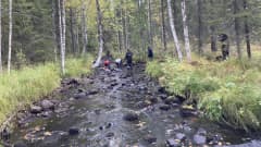 Purovesistön kunnostusta