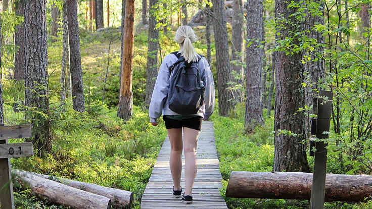 Vaaleahiuksinen tyttö reppu selässään kävelee keskellä metsää rakennettuja reittejä pitkin. Tyttö on selkä kuvaajaan päin.