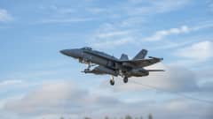 Hornet nousemassa