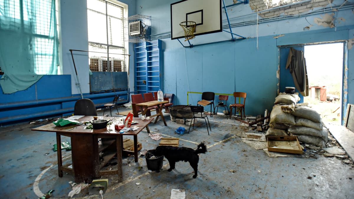 Venäläiset joukot ovat käyttäneet koulun liikuntasalia asemapaikkanaan Kam'jankan kylässä (Harkovan alueella). Liikuntasaliin on jäänyt pöytä, tuoleja, kasa hiekkasäkkejä ja avonainen tulisija. Turkoosi seinä on osittain vaurioitunut. Koira nuuhkii pöydän alla olevaa ämpäriä.