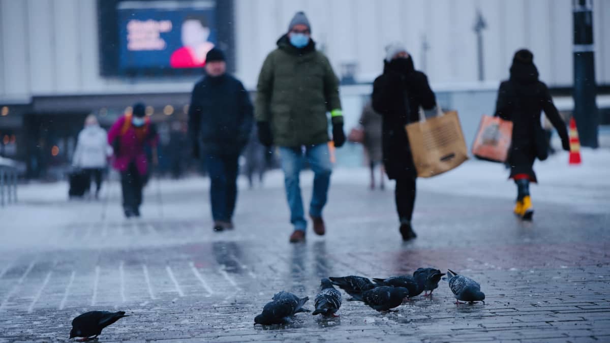 Ihmisiä kävelemässä ja puluja syömässä maassa Kuopion torilla talvella.