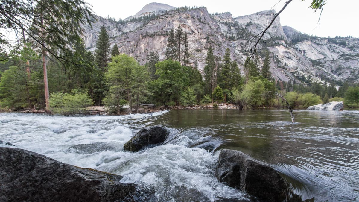 Merced-joki virtaa Yosemiten kansallispuiston halki. Maisemakuvassa vuoristoa ja metsää.