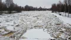 Joki, jossa patoutunutta jäätä.