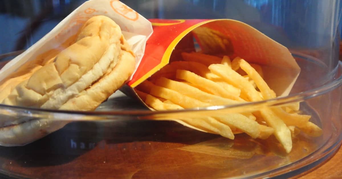 Islantilaismies osti McDonald'sin juustohampurilaisen nähdäkseen mädäntyykö  se – Nyt on kulunut jo kymmenen vuotta, eikä mitään ole tapahtunut