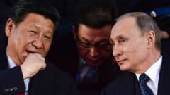 Xi jinping ja Vladimir Putin keskustelevat.