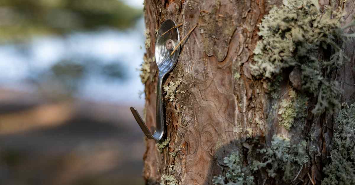 Saimaa Tree Spoons & Hiking Impact | South Karelia