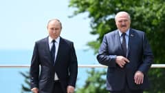Rysslands president Vladimir Putin och Belarus ledare Aleksandr Lukasjenko i Sotji 23.5.2022.