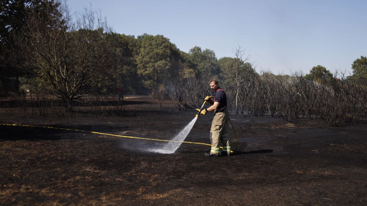 Palosammuttaja suihkuttaa vettä letkulla palaneeseen maahan.