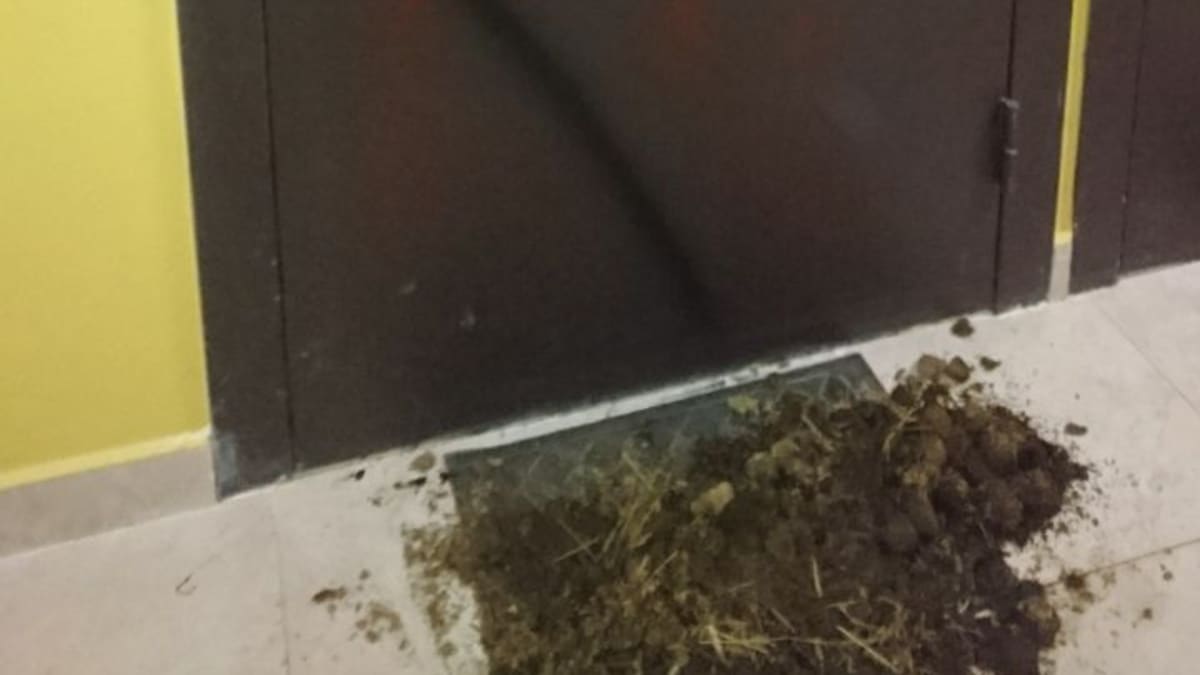 Ovi jonka päälle töhritty tekstiä ja eteen tuotu kynnysmatolle lantaa.