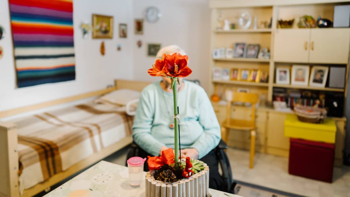 Vanhus istuu kotonaan pyörätuolissa ja hänen kasvonsa peittyvät pöydällä olevan kukan taakse.