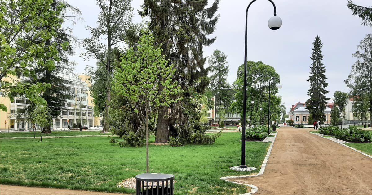 Kuopio aikoo lisätä viheralueita keskustassa: avuksi otetaan ...