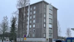 Poliisin hiha, kuvituskuva.