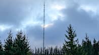 Teiskon radio- ja TV-masto kohoaa metsän keskeltä harmaata taivasta vasten.