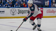 Mikko Lehtonen.