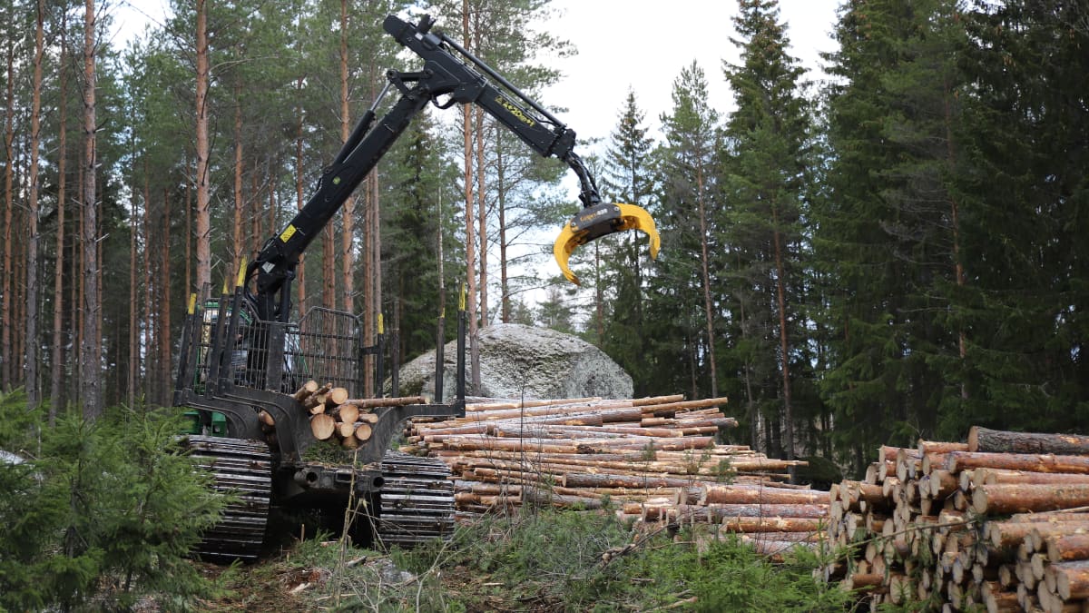 Puunkorjuukone metsässä